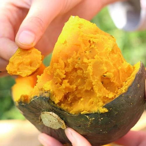 孕妇天天吃小瓜,助力母婴健康营养之旅