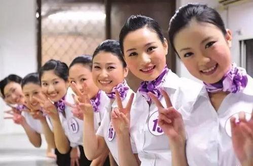 空姐吃瓜解说全集,揭秘娱乐圈幕后故事全集