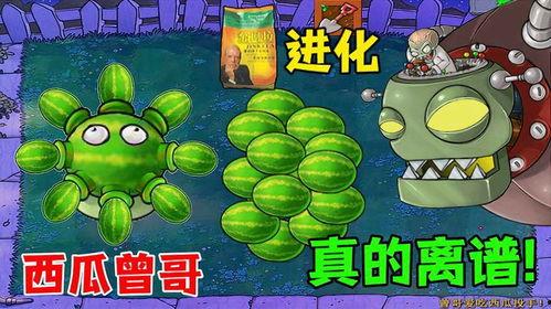 吃瓜僵尸图片,揭秘神秘生物的诡异食瓜之谜