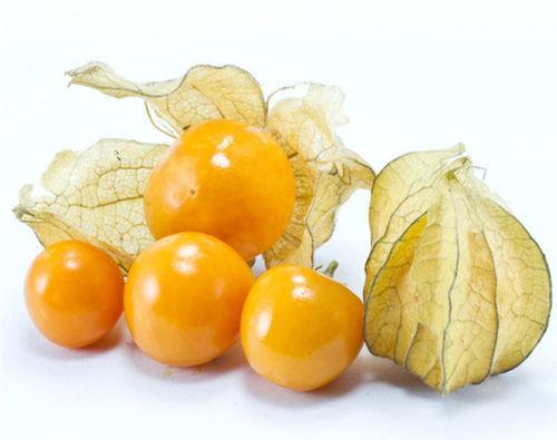 锦缎儿芝芝 吃瓜 吃瓜,吃瓜群众的欢乐盛宴