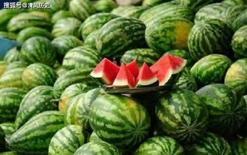 锦缎儿芝芝 吃瓜 吃瓜,吃瓜群众的欢乐盛宴