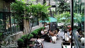 吃瓜铺天盖地,铺天盖地的事件背后真相揭秘