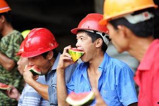 吃瓜的农民工,揭秘他们的日常娱乐与心声