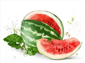 吃瓜甜蜜,尽享夏日美味