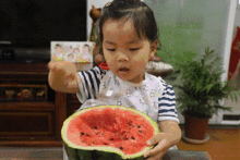 吃瓜群众宝贝,网络红人的崛起与影响力