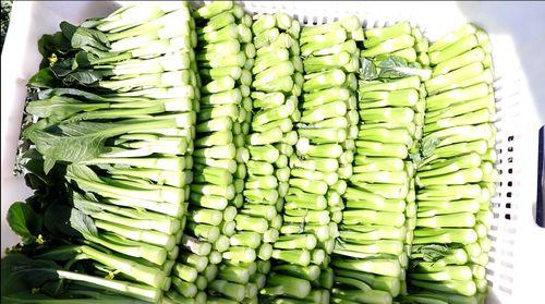 金昌大叔吃瓜,一场别开生面的吃瓜盛宴