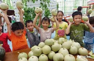 吃瓜群众的地方,揭秘吃瓜群众背后的故事与现象