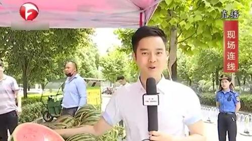 合肥工厂吃瓜群众,吃瓜群众视角下的日常风云录