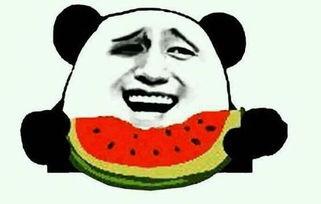 吃瓜视频都叫什么