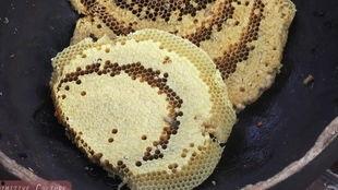 瓜哥吃麻糍,麻糍之旅